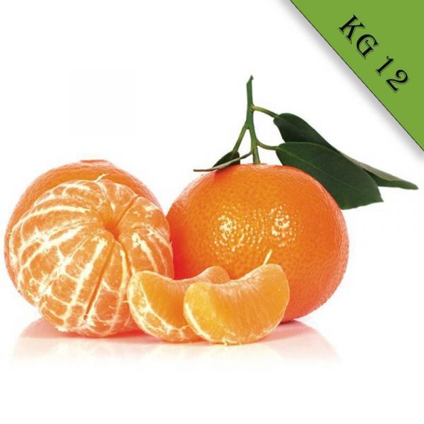 Mandarino tardivo biologico Kg 12